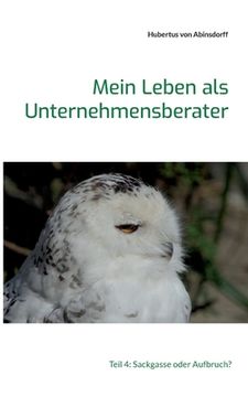 portada Mein Leben als Unternehmensberater: Teil 4: Sackgasse oder Aufbruch? (in German)