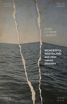 portada Wonderful Wasteland and Other Natural Disasters: Poems (University Press of Kentucky new Poetry & Prose Series) 