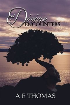 portada Divine Encounters (in English)