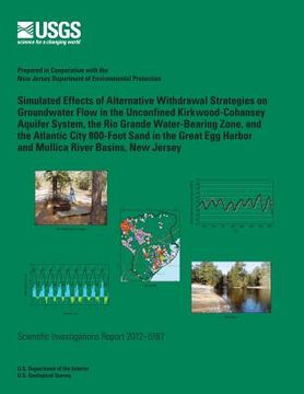 portada Simulated Effects of Alternative Withdrawal Strategies on Groundwater Flow: in the Unconfined kirkwood-Cohansey Aquifer System, the Rio Grande Water-B (en Inglés)