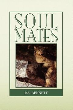 portada soul mates (in English)