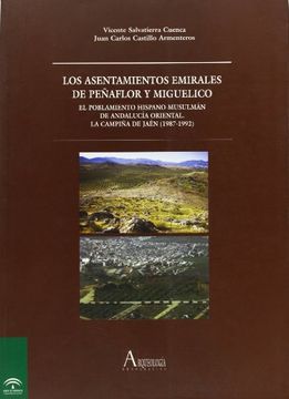 portada Los asentamientos emirales de peñaflor y miguelico (in Spanish)