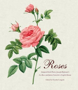 portada Roses: Mini Archive with DVD