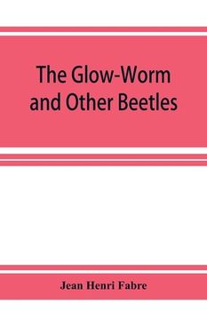 portada The Glow-Worm and Other Beetles (en Inglés)