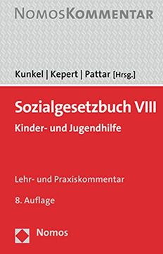 portada Sozialgesetzbuch Viii: Kinder- und Jugendhilfe (en Alemán)