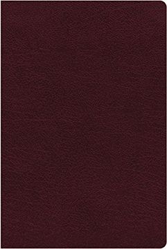 portada Niv, Thinline Reference Bible, Bonded Leather, Burgundy, red Letter Edition, Indexed, Comfort Print (en Inglés)