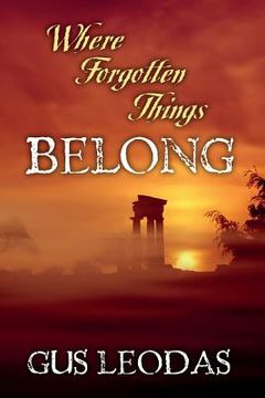 portada Where Forgotten Things Belong (en Inglés)