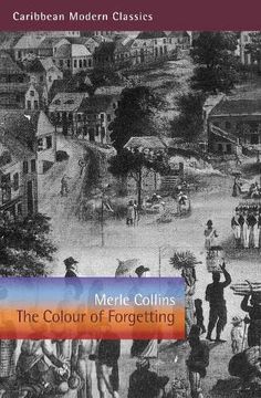 portada The Colour of Forgetting (in English)