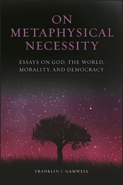 portada On Metaphysical Necessity: Essays on God, the World, Morality, and Democracy 