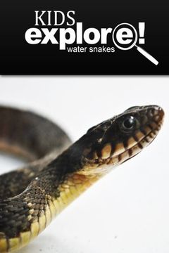 portada Water Snake - Kids Explore: Animal books nonfiction - books ages 5-6