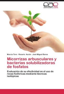 portada Micorrizas Arbusculares y Bacterias Solubilizadoras de Fosfatos (in Spanish)