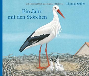portada Ein Jahr mit den Störchen (in German)