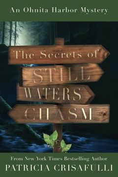 portada The Secrets of Still Waters Chasm: Book 2 – Ohnita Harbor Mystery Series (Ohnita Harbor Series) (in English)