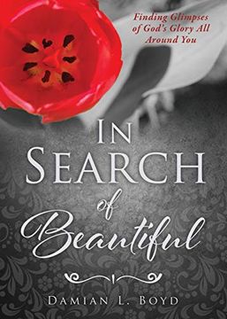 portada In Search of Beautiful (en Inglés)