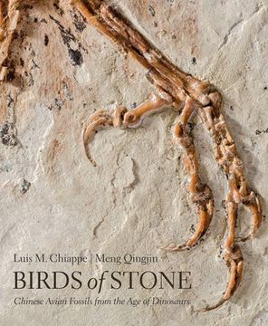 portada Birds of Stone: Chinese Avian Fossils from the Age of Dinosaurs (en Inglés)