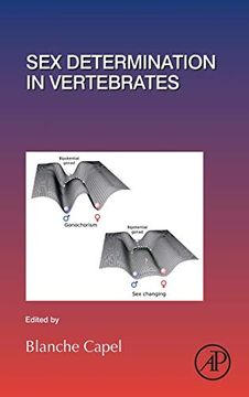 portada Sex Determination in Vertebrates (Current Topics in Developmental Biology) (en Inglés)