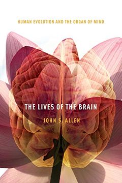 portada The Lives of the Brain: Human Evolution and the Organ of Mind (en Inglés)