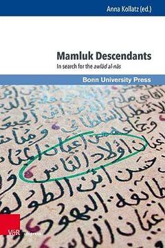 portada Mamluk Descendants: In Search for the Awlad Al-Nas (Mamluk Studies, 29) (en Inglés)