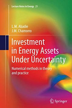 portada Investment in Energy Assets Under Uncertainty: Numerical Methods in Theory and Practice (en Inglés)