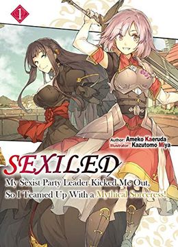portada Sexiled my Sexist Party Leader Kicked me out Light Novel (Sexiled: My Sexist Party Leader Kicked me Out, so i Teamed up With a Mythical Sorceress! (Light Novel)) 
