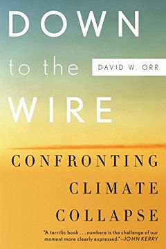portada Down to the Wire: Confronting Climate Collapse (en Inglés)