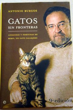 portada Gatos sin fronteras: andanzas y fortunas de Remo, un gato callejero