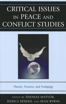 portada critical issues in peace and conflict studies