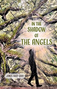 portada In the Shadow of the Angels (in English)