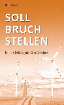 portada Sollbruchstellen (en Alemán)