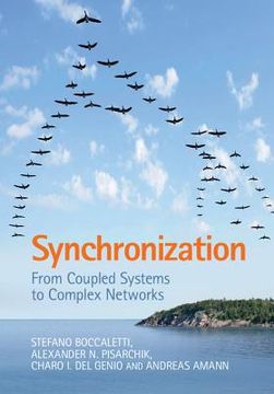portada Synchronization: From Coupled Systems to Complex Networks (in English)