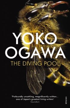 portada The Diving Pool (in English)