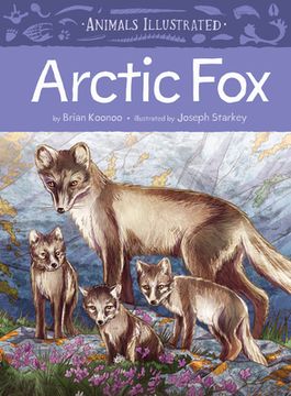 portada Animals Illustrated: Arctic Fox (en Inglés)