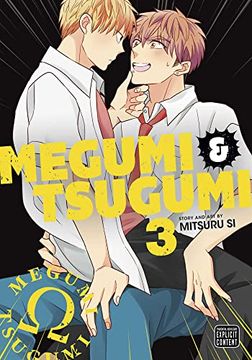 portada Megumi & Tsugumi, Vol. 3 (3) (in English)