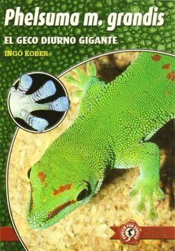 portada phelsuma madagascariensis grandis : geco diurno gigante (in Spanish)