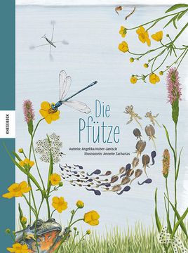 portada Die Pfütze: Die Vielfalt Einer Verborgenen Welt Entdecken die Vielfalt Einer Verborgenen Welt Entdecken (in German)