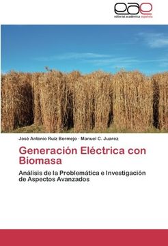 portada Generación Eléctrica con Biomasa: Análisis de la Problemática e Investigación de Aspectos Avanzados