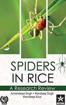 portada Spiders in Rice: A Research Review (en Inglés)