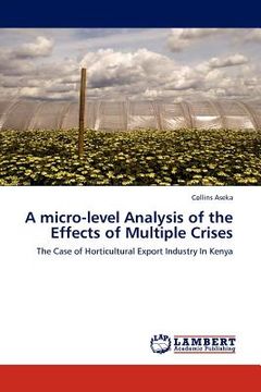 portada a micro-level analysis of the effects of multiple crises