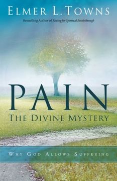 portada Pain: The Divine Mystery: Why God Allows Suffering (en Inglés)