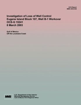 portada Investigation of Loss of Well Control Eugene Island Block 107, Well B-1 Workover OCS-G 15241 8 March 2003