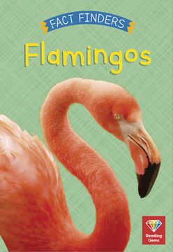 portada Flamingos (en Inglés)