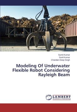 portada Modeling Of Underwater Flexible Robot Considering Rayleigh Beam