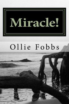 portada Miracle!: Fiction, surrounding the Spirit of God