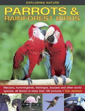 portada Exploring Nature: Parrots & Rainforest Birds: Macaws, Hummingbirds, Flamingos, Toucans And Other Exotic Species, All Shown In More Than 180 Pictures (en Inglés)