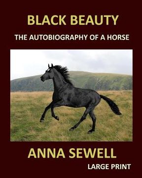 portada BLACK BEAUTY ANNA SEWELL Large Print: The autobiography of a horse (en Inglés)