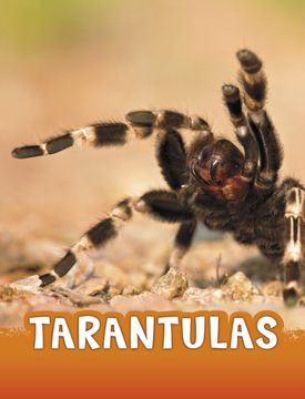 portada Tarantulas (Animals) (en Inglés)
