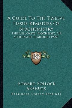 portada a guide to the twelve tissue remedies of biochemistry: the cell-salts, biochemic, or schuessler remedies (1909) (en Inglés)