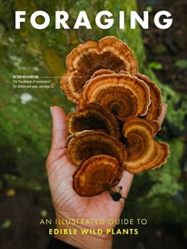 portada Foraging: An Illustrated Guide to Edible Wild Plants (in English)