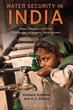 portada Water Security in India: Hope, Despair, and the Challenges of Human Development