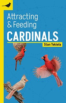portada Attracting & Feeding Cardinals (Backyard Bird Feeding Guides) (in English)